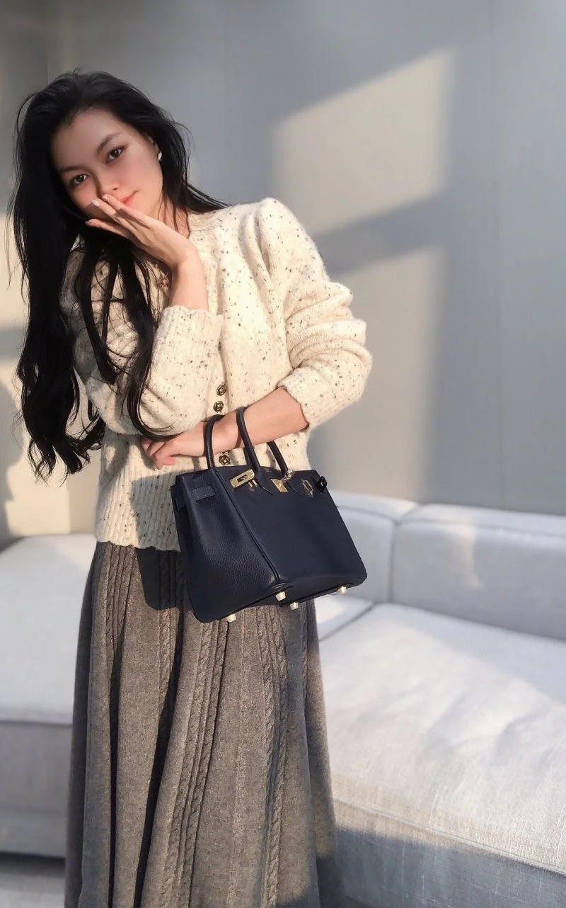 Hermes Birkin Bags Reliable 48964