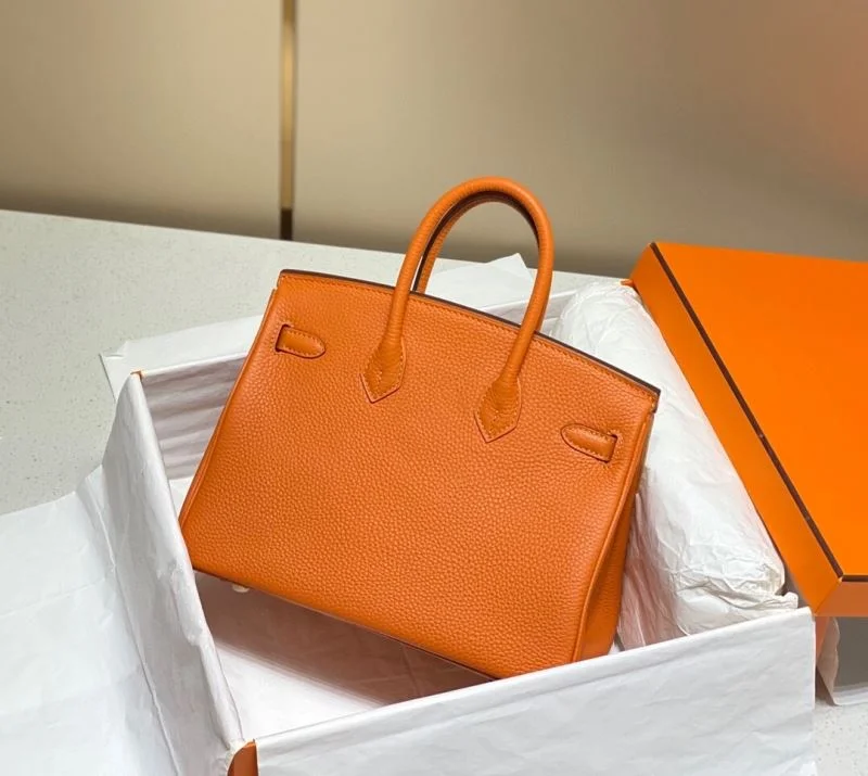 Snug Hermes Birkin Bags 48959