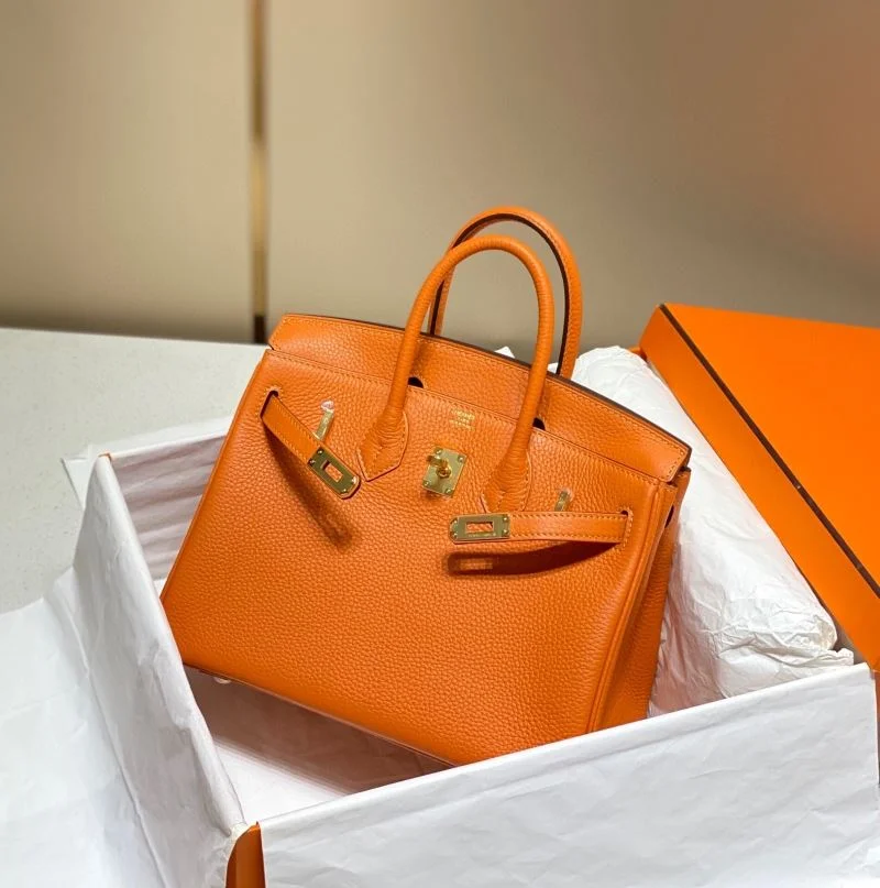 Snug Hermes Birkin Bags 48959