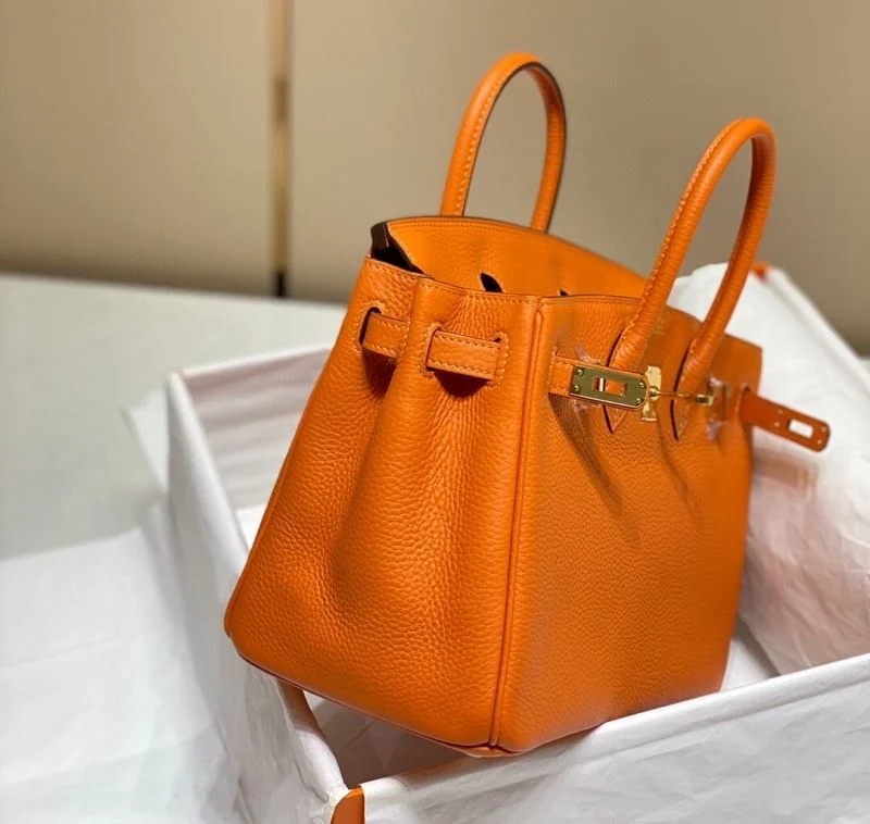 Snug Hermes Birkin Bags 48959