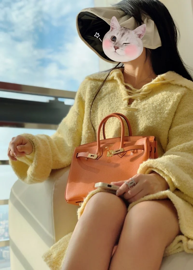 Snug Hermes Birkin Bags 48959