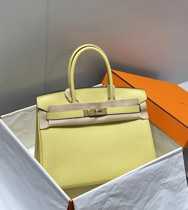 AllSeason Hermes Birkin Bags 48958