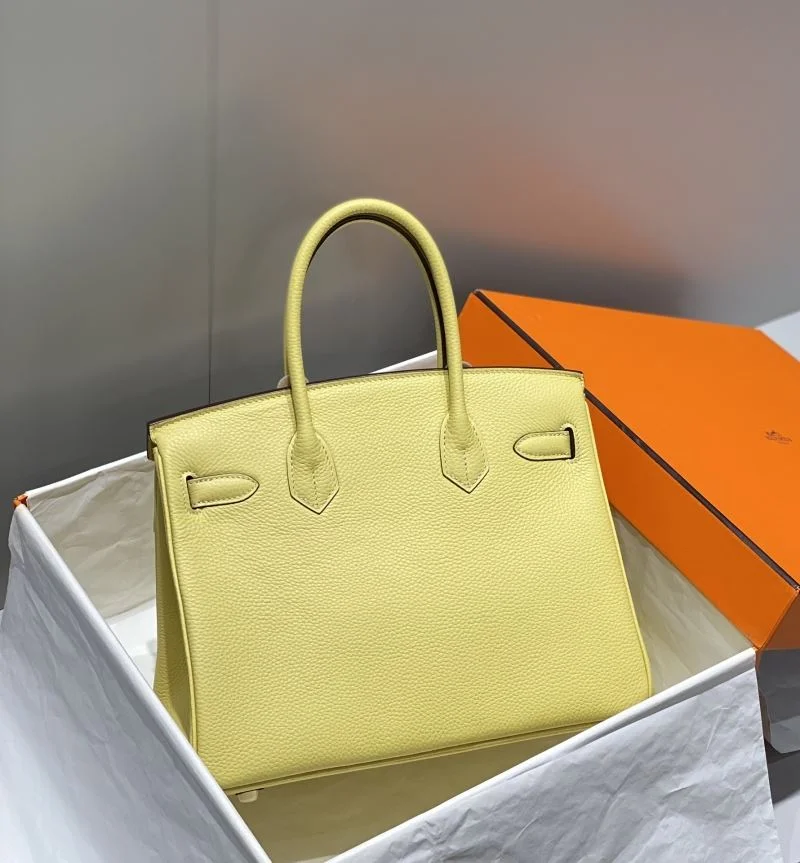 AllSeason Hermes Birkin Bags 48958