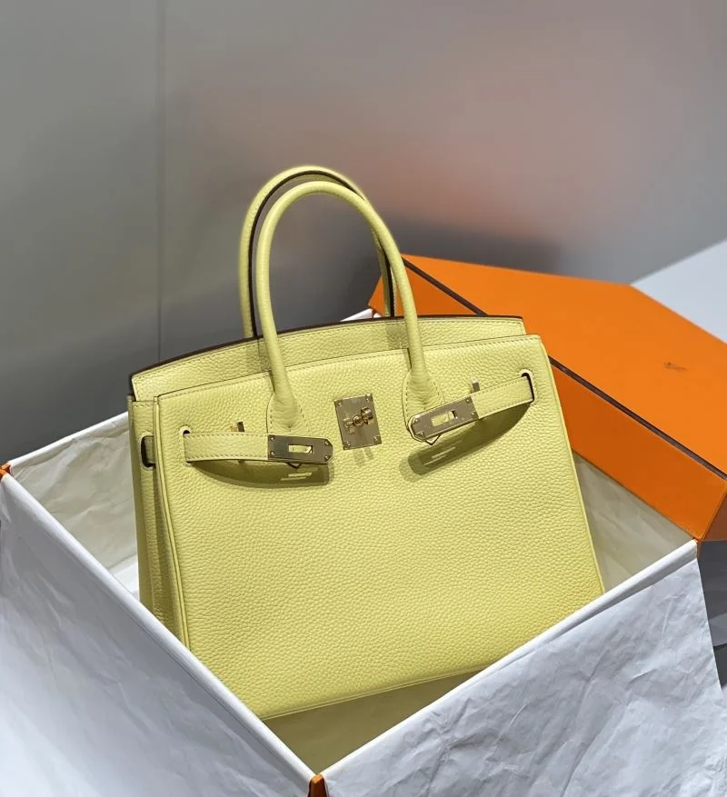 AllSeason Hermes Birkin Bags 48958
