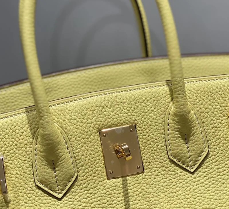 AllSeason Hermes Birkin Bags 48958