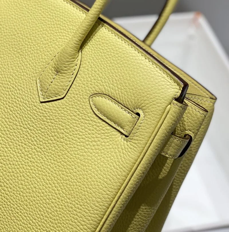AllSeason Hermes Birkin Bags 48958