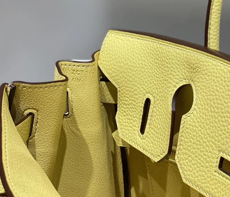 AllSeason Hermes Birkin Bags 48958