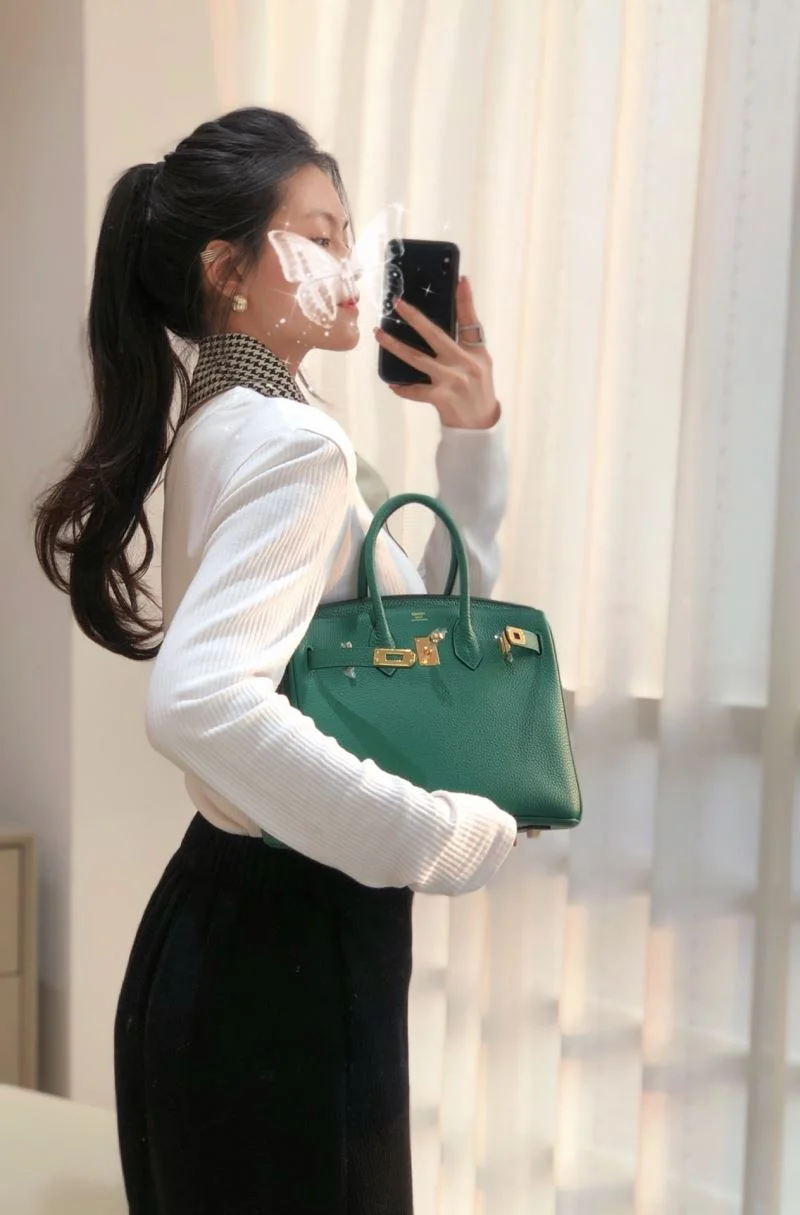 Hermes Birkin Bags Elegant 49031