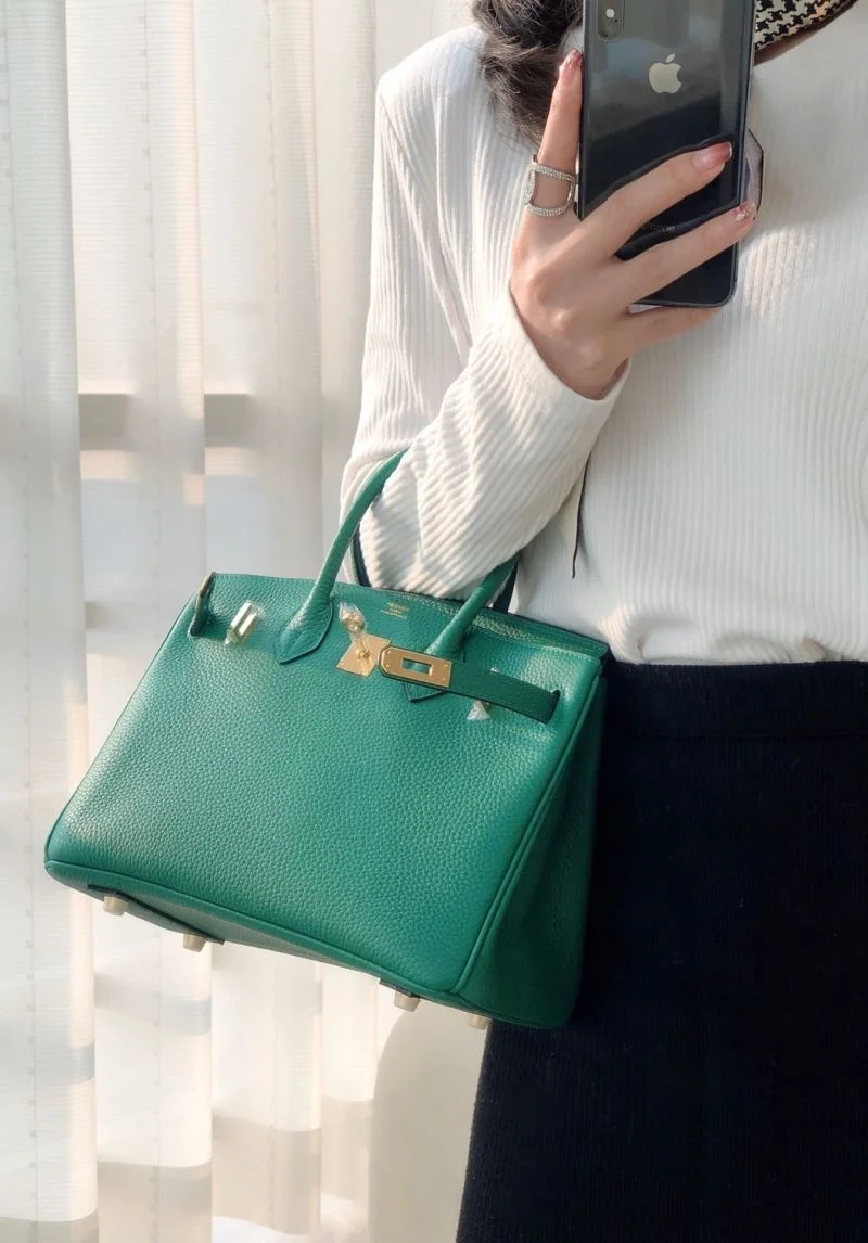 Hermes Birkin Bags Elegant 49031