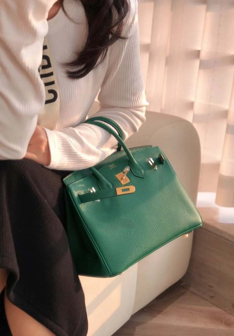 Hermes Birkin Bags Elegant 49031