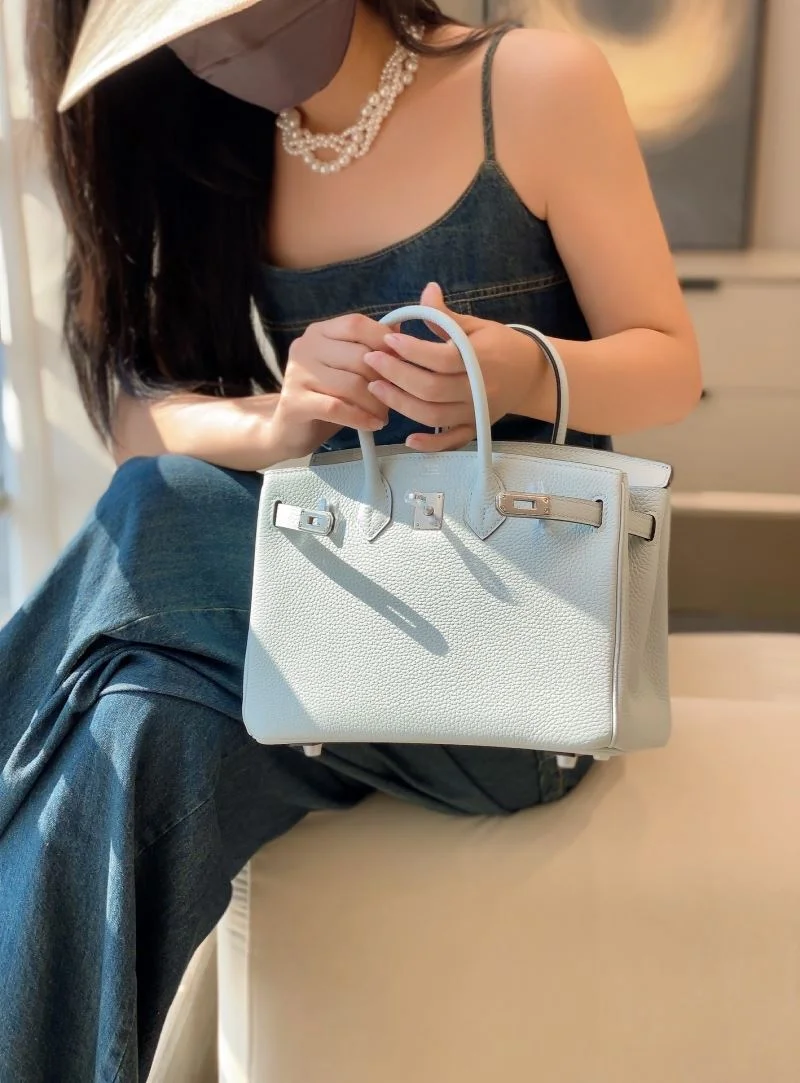 Hermes Birkin Bags WeatherProof 48944