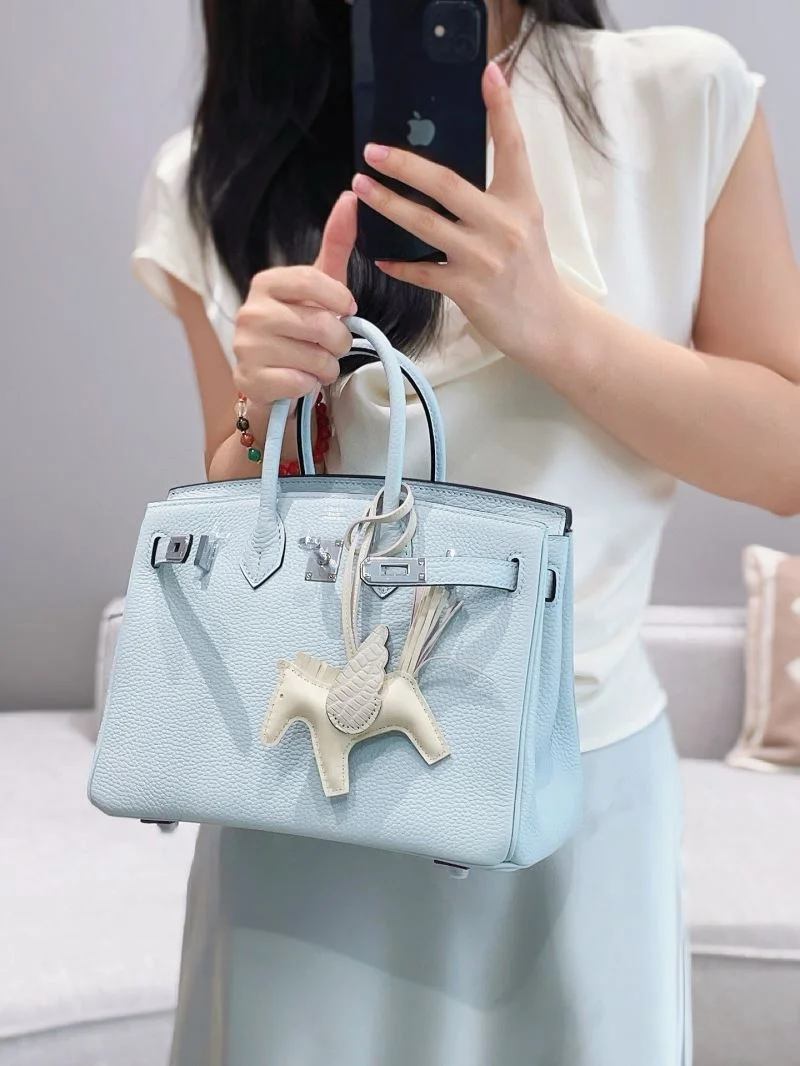 Hermes Birkin Bags WeatherProof 48944