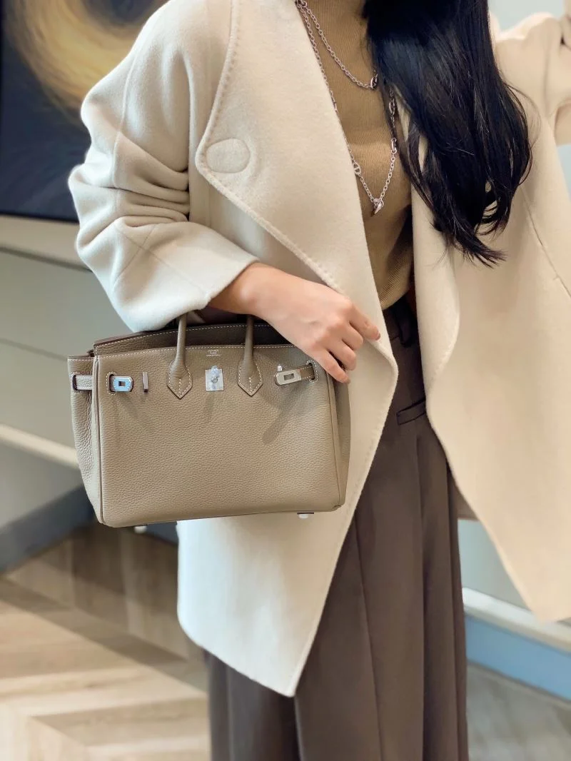 Hermes Birkin Bags Thermal 48932