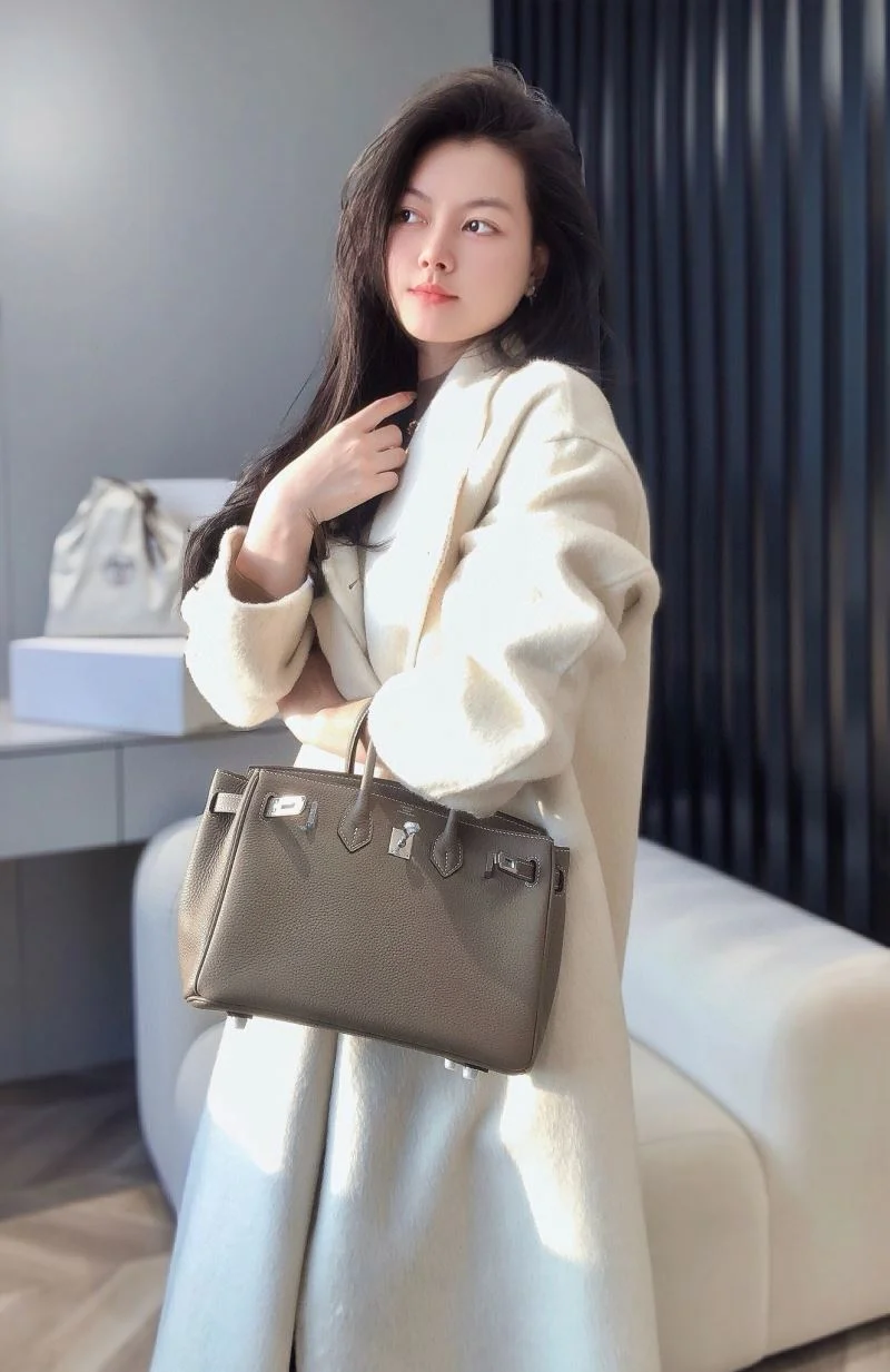 Hermes Birkin Bags Thermal 48932