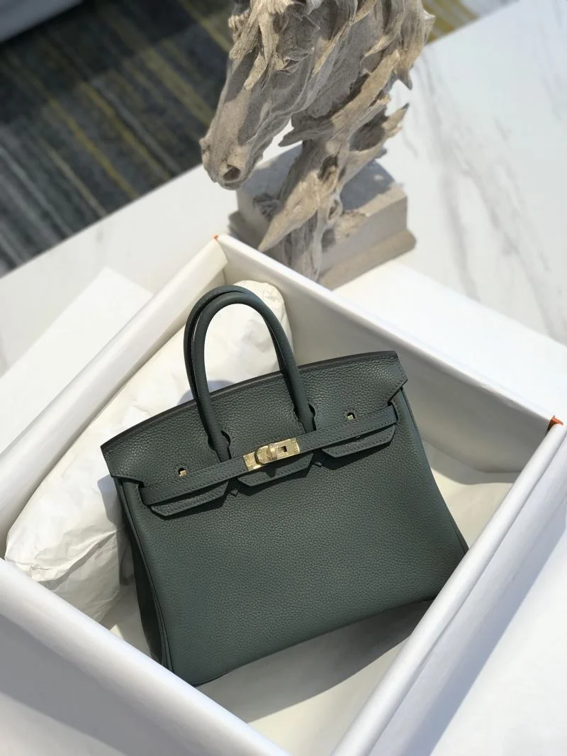 WeatherProof Hermes Birkin Bags 48961