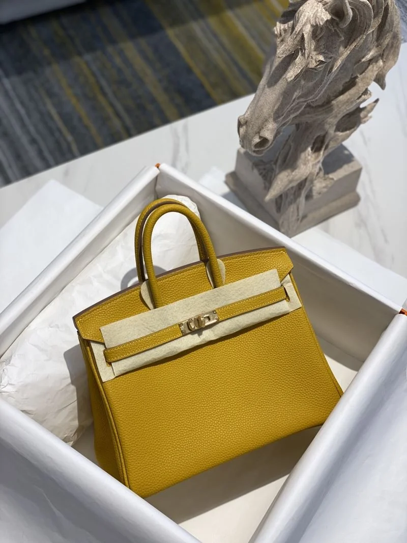 Timeless Hermes Birkin Bags 48965