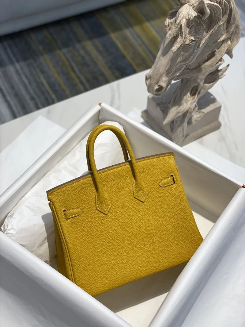 Timeless Hermes Birkin Bags 48965