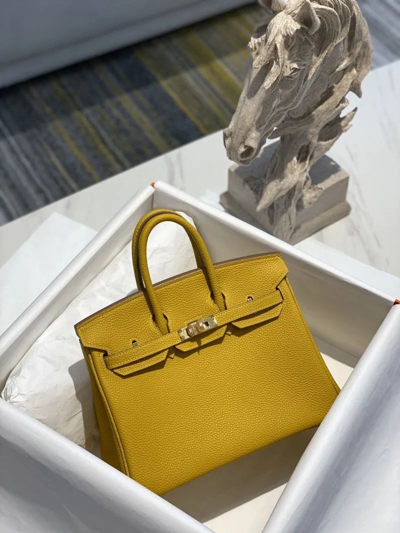 Timeless Hermes Birkin Bags 48965