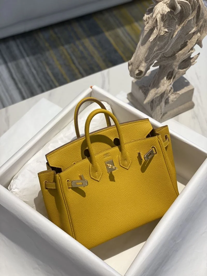 Timeless Hermes Birkin Bags 48965