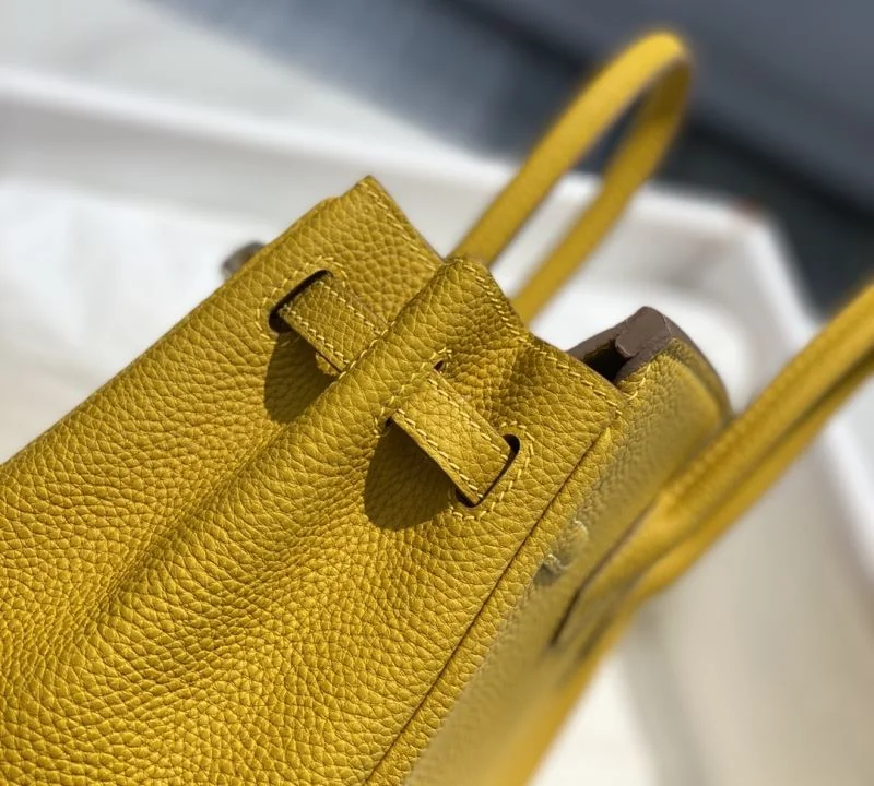 Timeless Hermes Birkin Bags 48965