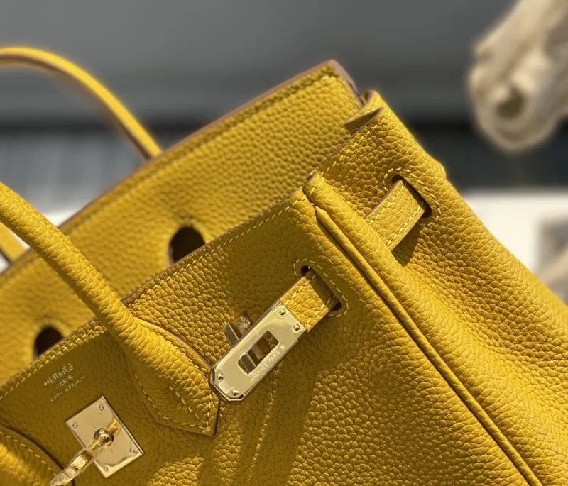Timeless Hermes Birkin Bags 48965