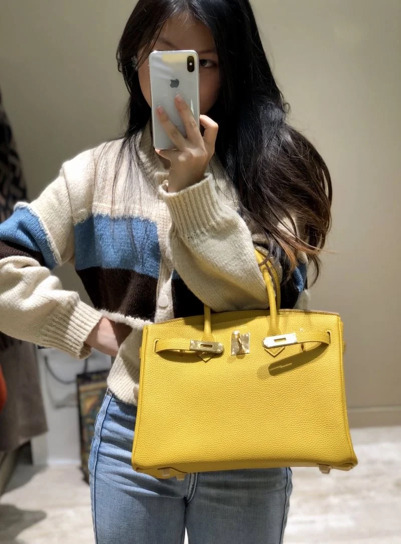 Timeless Hermes Birkin Bags 48965