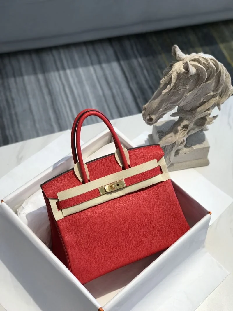 StreetReady Hermes Birkin Bags 48953