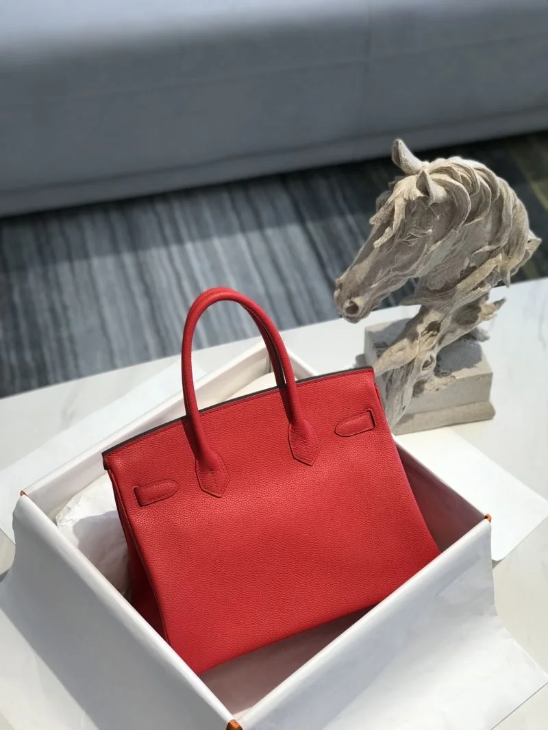 StreetReady Hermes Birkin Bags 48953