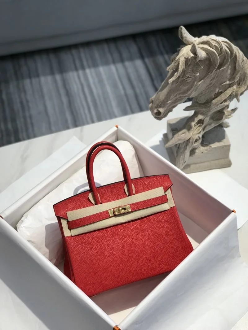 Hermes Birkin Bags Practical 48920