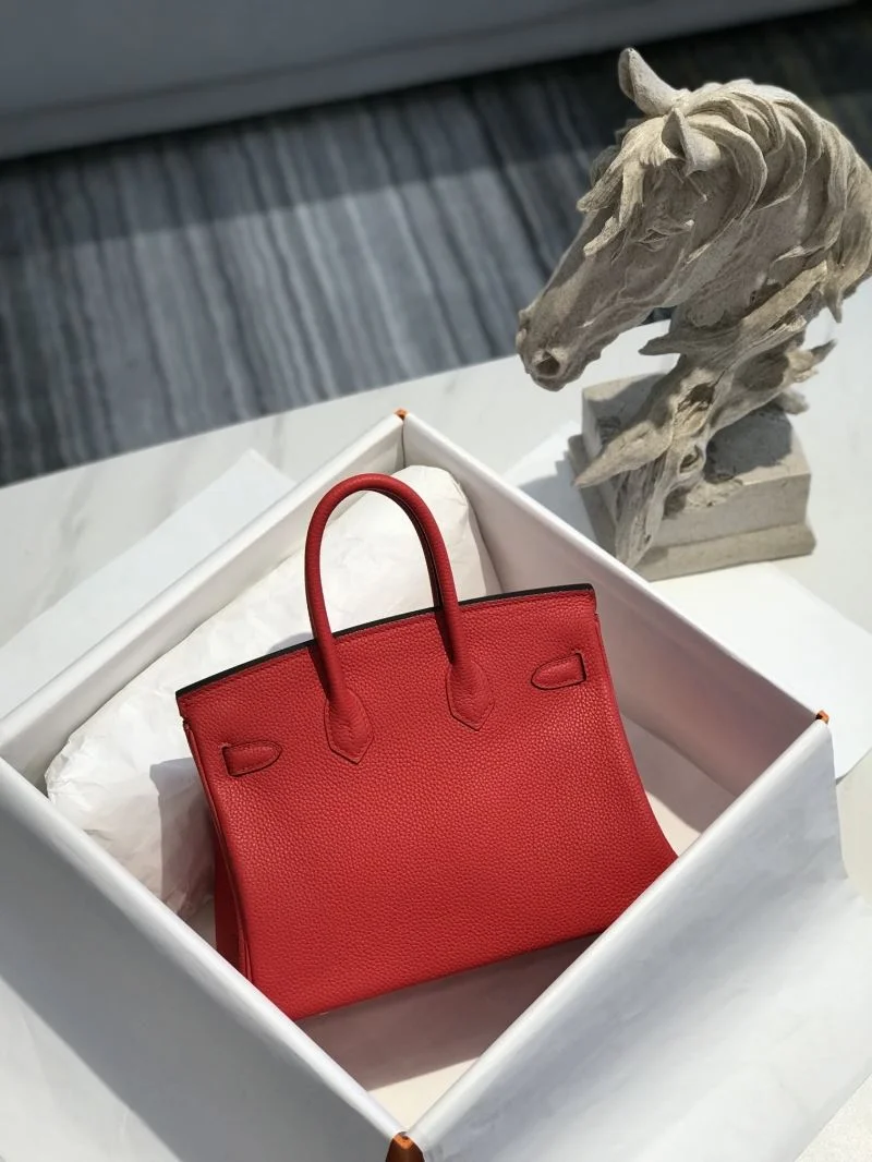 Hermes Birkin Bags Practical 48920