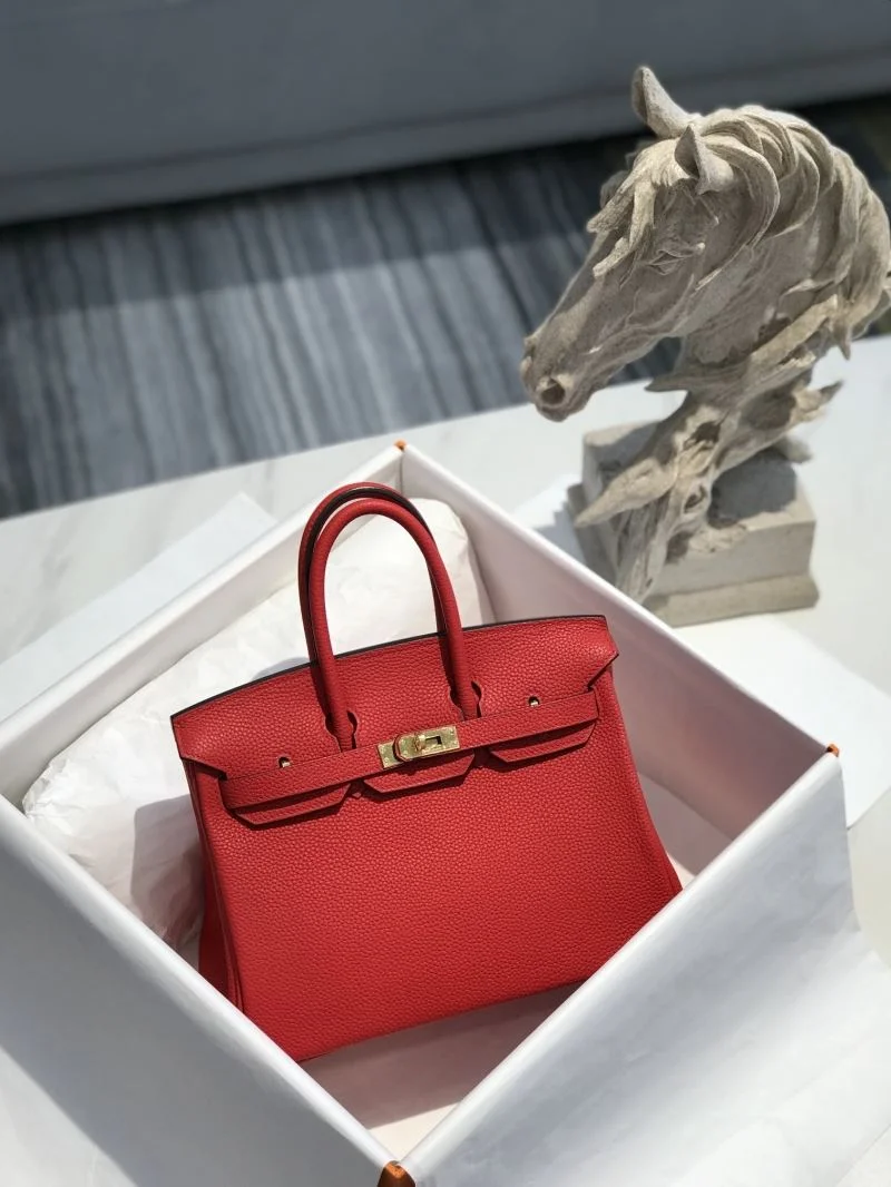 Hermes Birkin Bags Practical 48920
