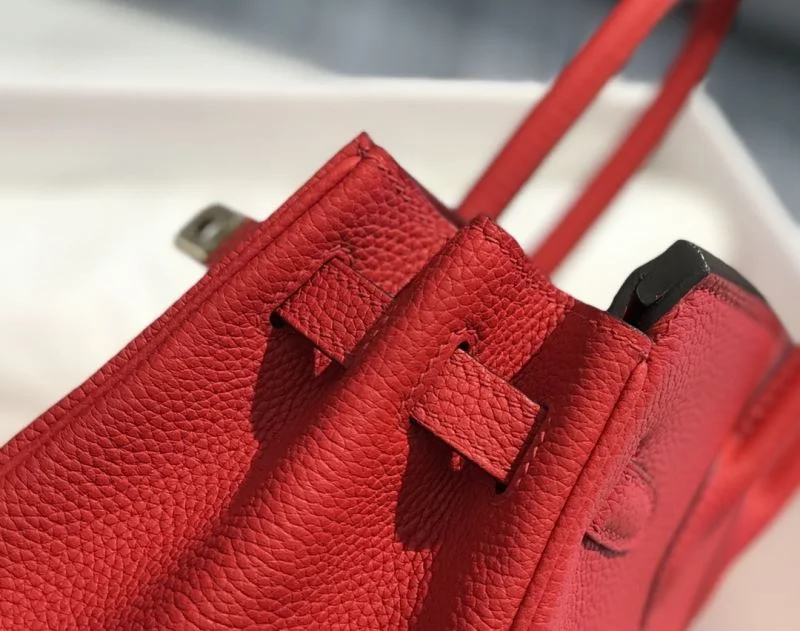 Hermes Birkin Bags Practical 48920