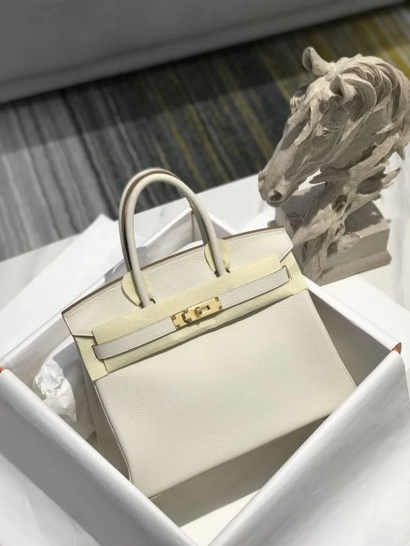 Hermes Birkin Bags MultiPurpose 48949