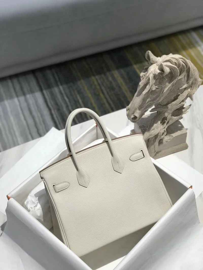 Hermes Birkin Bags MultiPurpose 48949