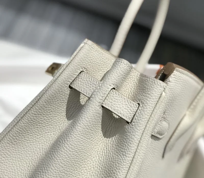 Hermes Birkin Bags MultiPurpose 48949