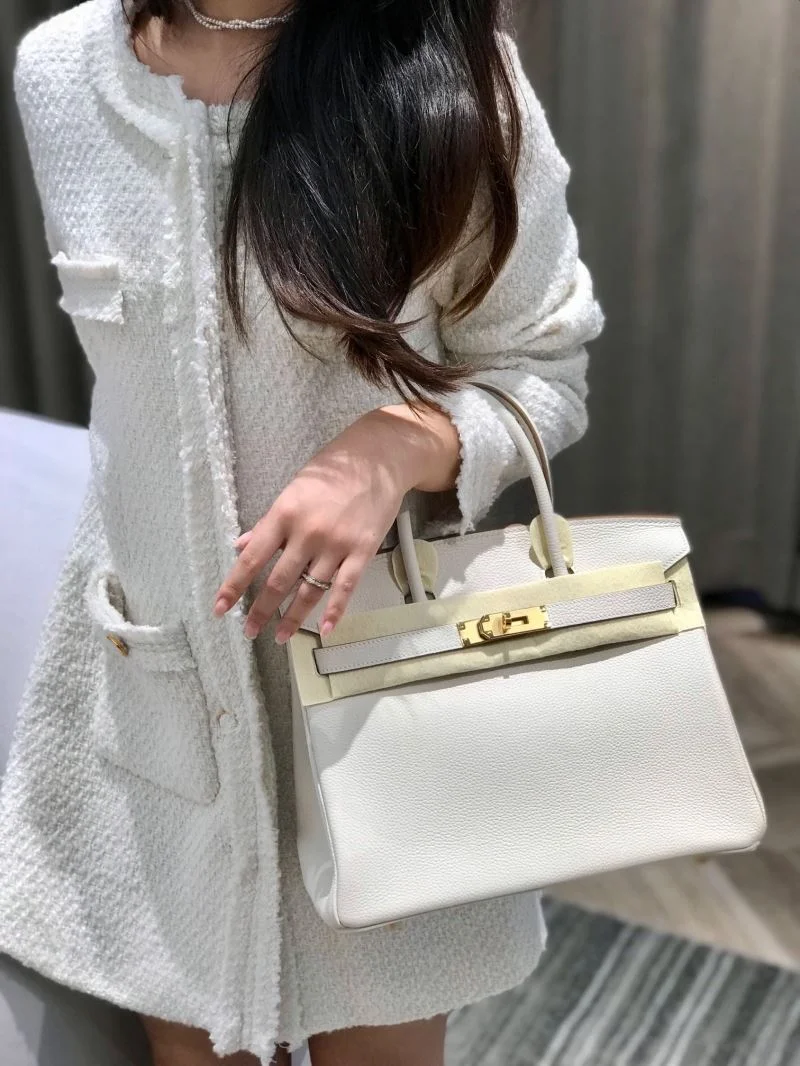 Hermes Birkin Bags MultiPurpose 48949