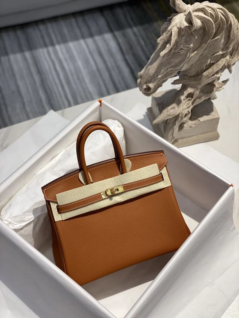 GoAnywhere Hermes Birkin Bags 48945