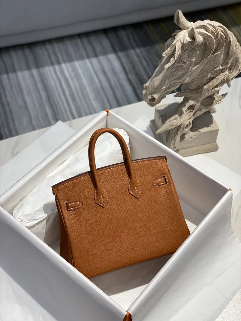 GoAnywhere Hermes Birkin Bags 48945