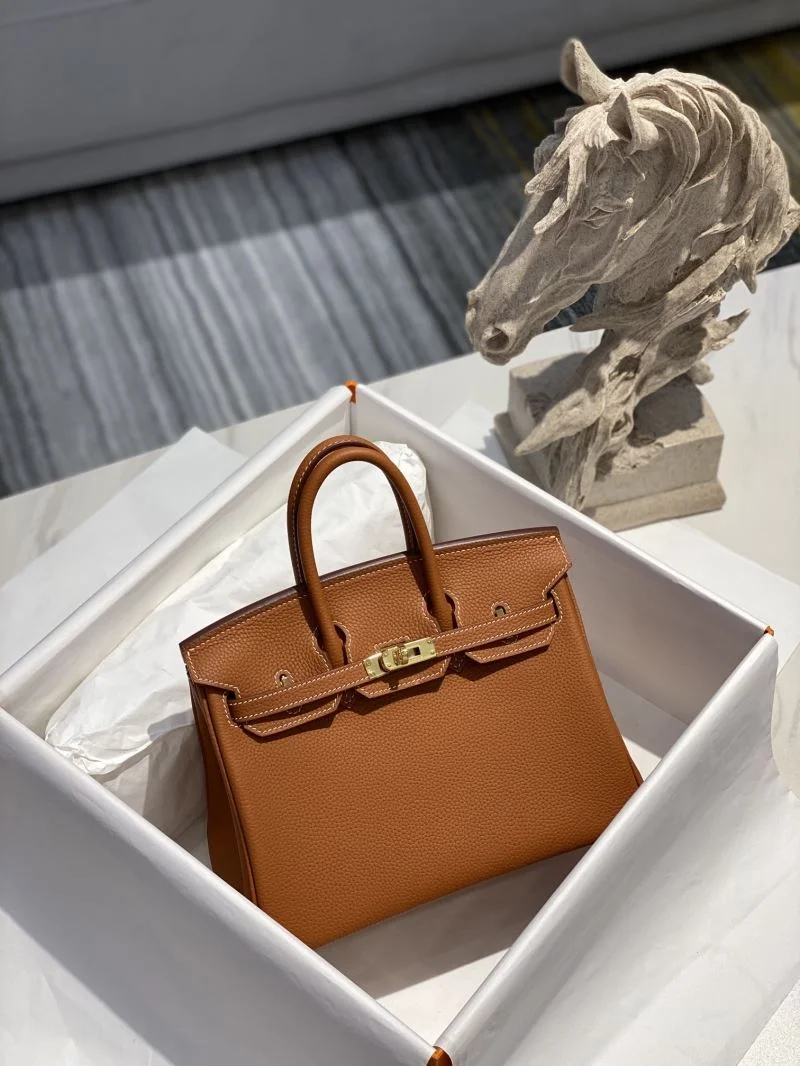GoAnywhere Hermes Birkin Bags 48945