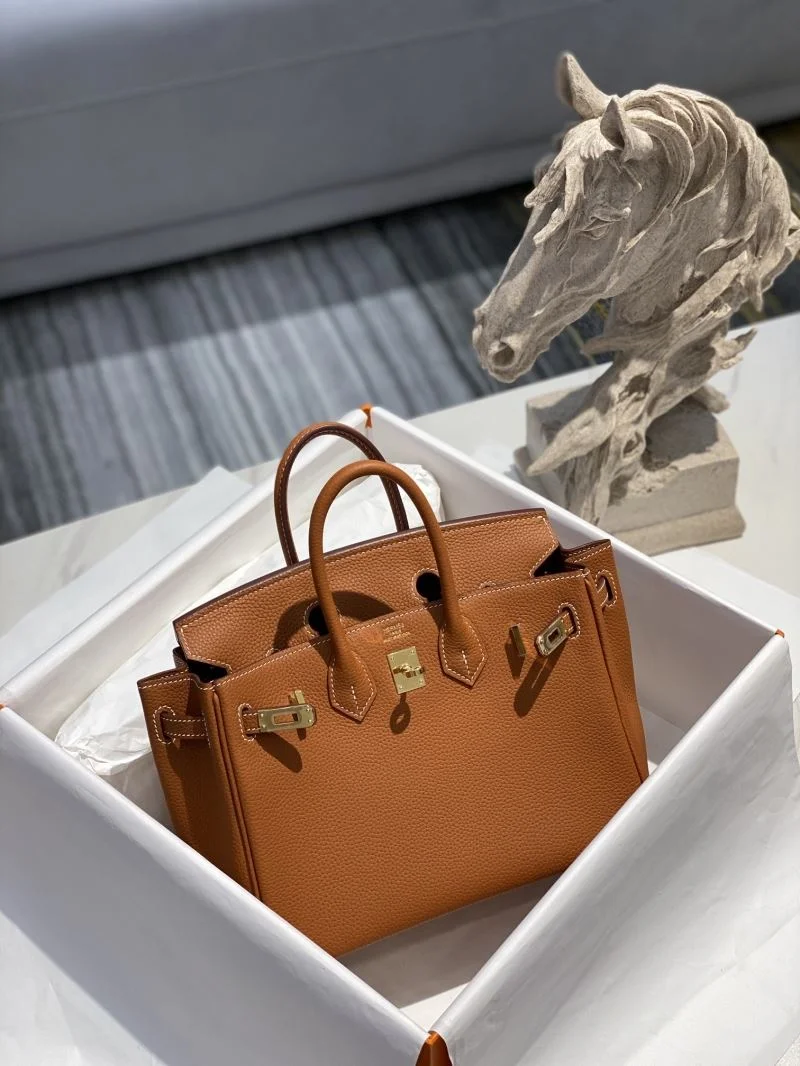 GoAnywhere Hermes Birkin Bags 48945