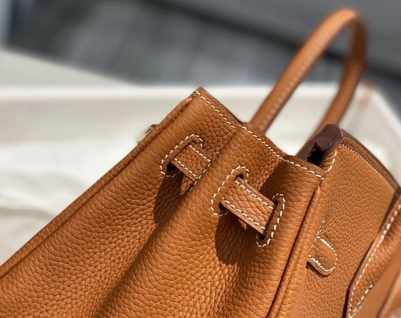 GoAnywhere Hermes Birkin Bags 48945