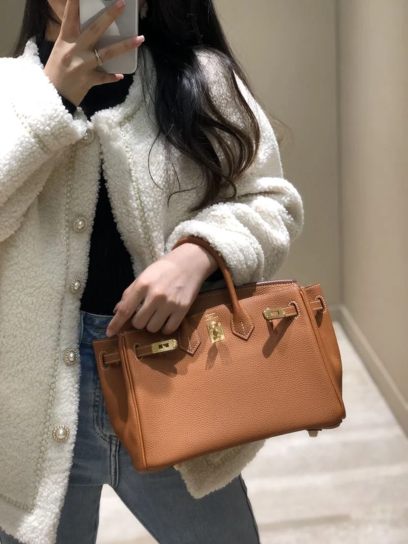 GoAnywhere Hermes Birkin Bags 48945