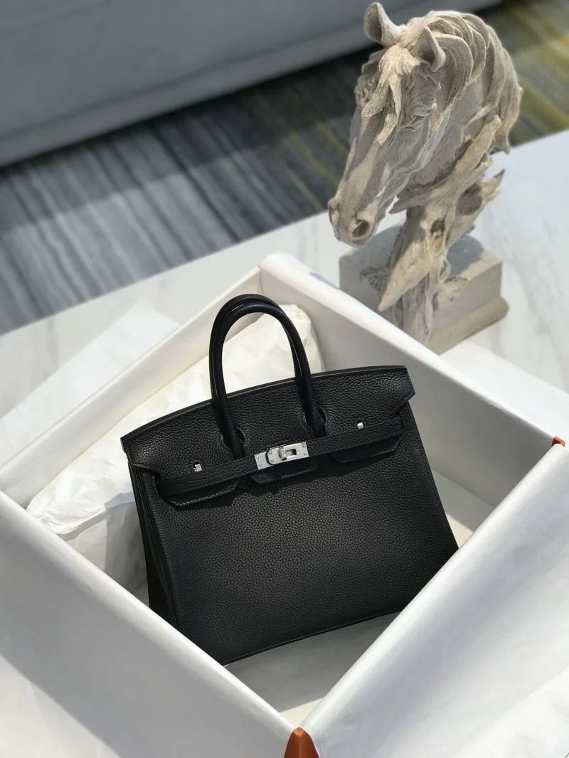 Hermes Birkin Bags TravelReady 48902