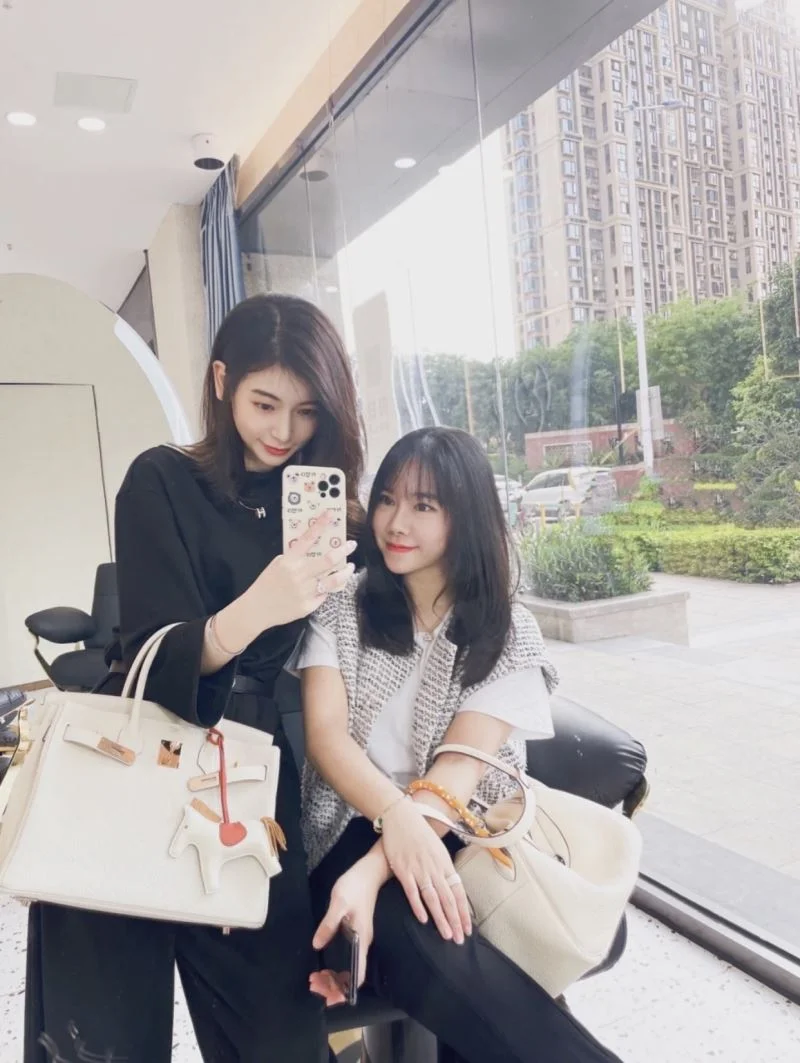 Hermes Birkin Bags Original 48488