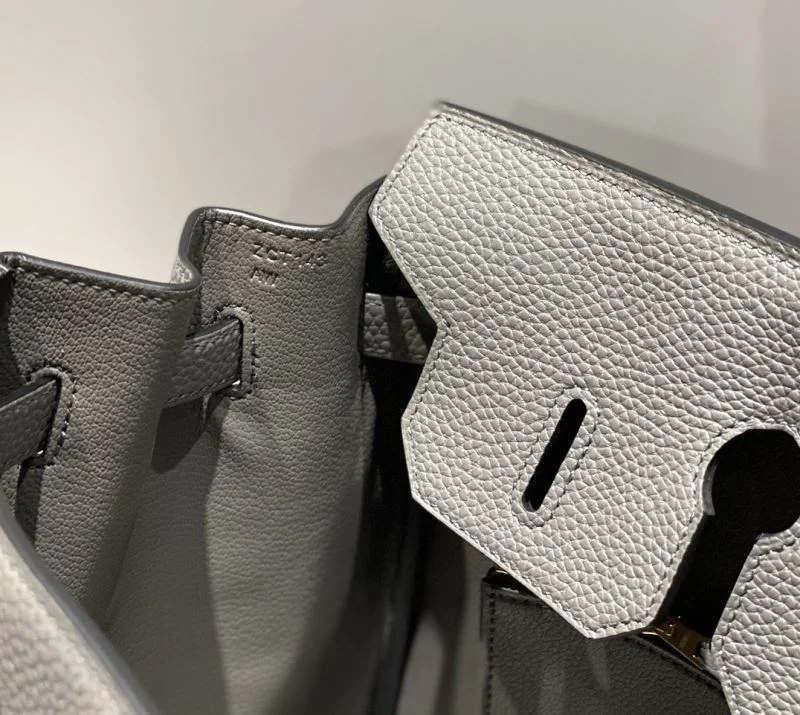 Hermes Birkin Bags WeatherProof 48484