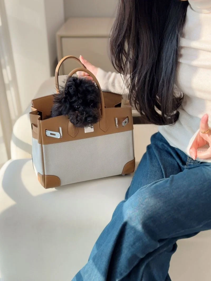Hermes Birkin Bags Sustainable 48469