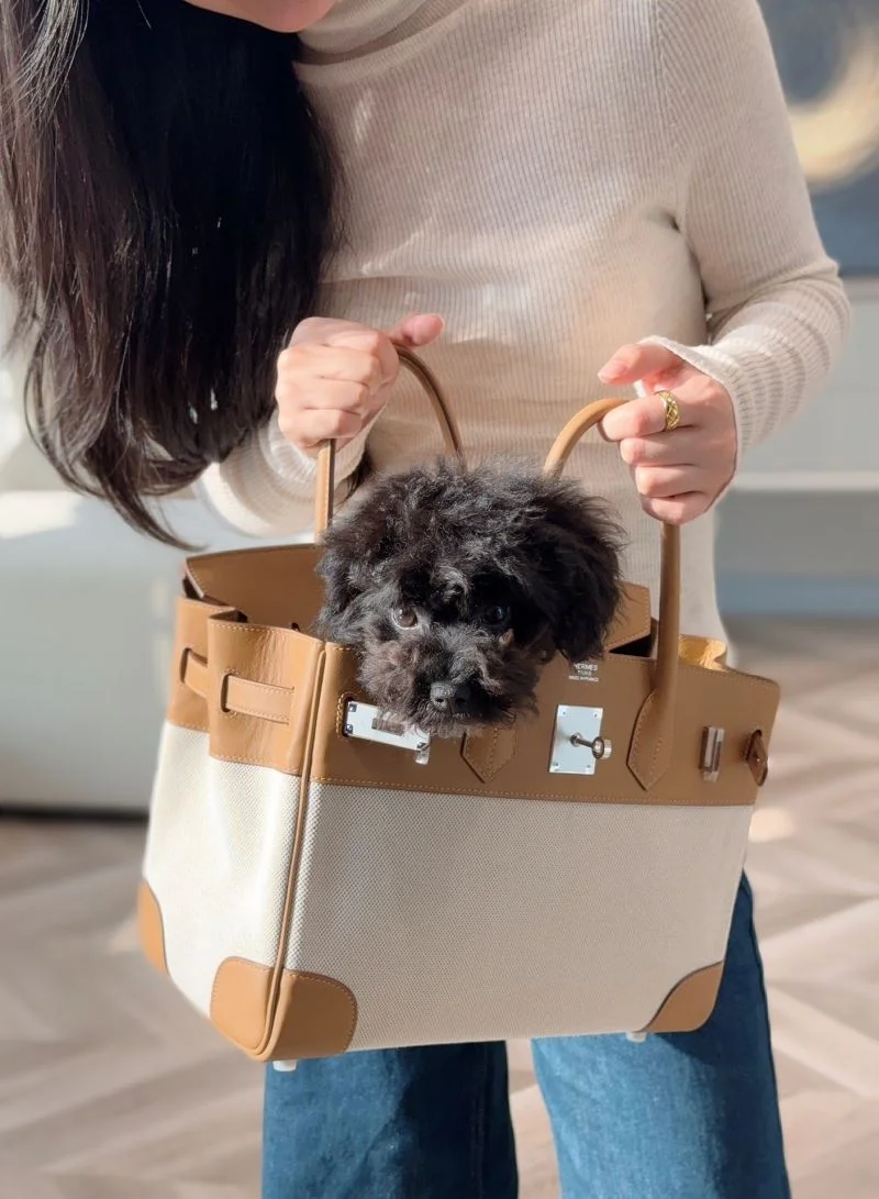 Hermes Birkin Bags Sustainable 48469