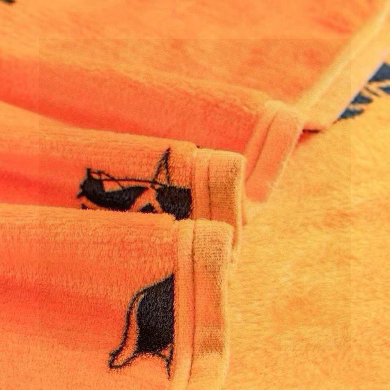Packable Hermes Blanket 256567