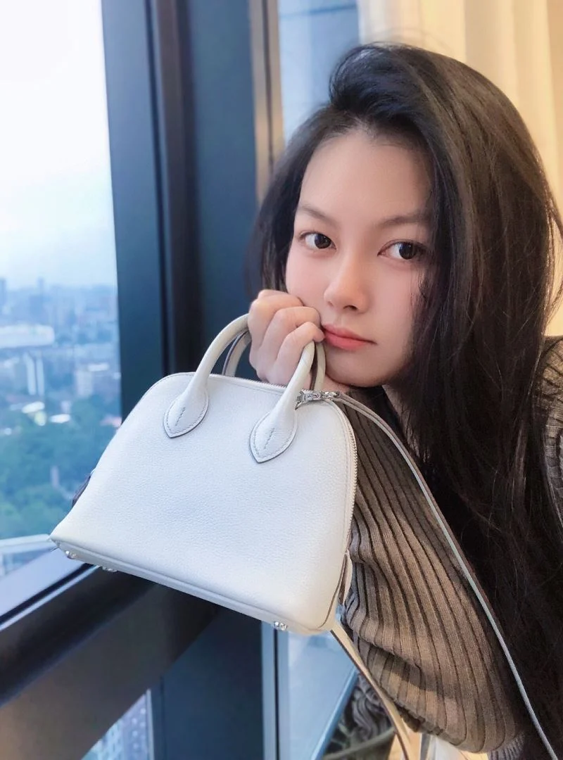 EasyCare Hermes Bolide Bags 48895
