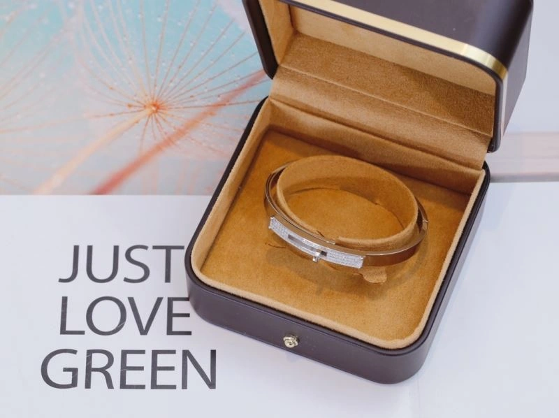 Hermes Bracelets FreshLook 247408